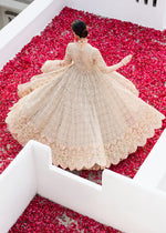 Ivory Resham Embroidered Net Pishwas Dress (2-Piece) - Image 3