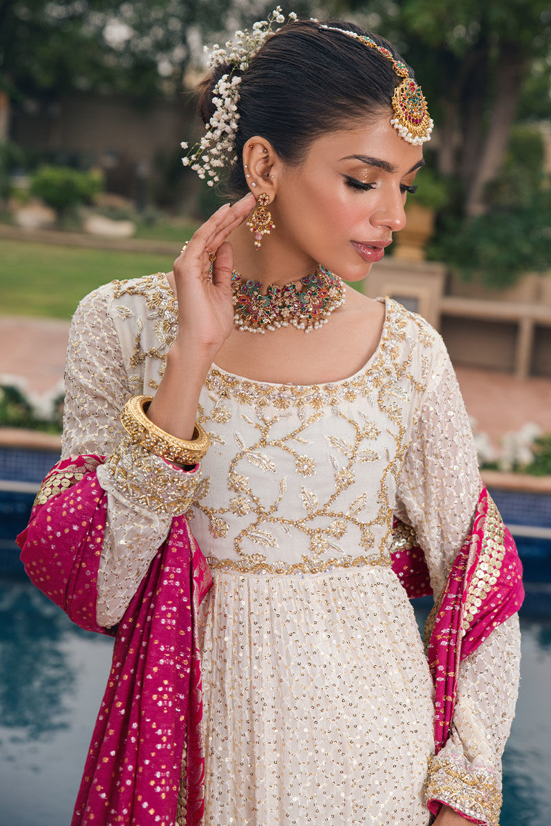 Ivory Gold Zardozi Resham Net Pishwas Dress (2-Piece) - Image 4