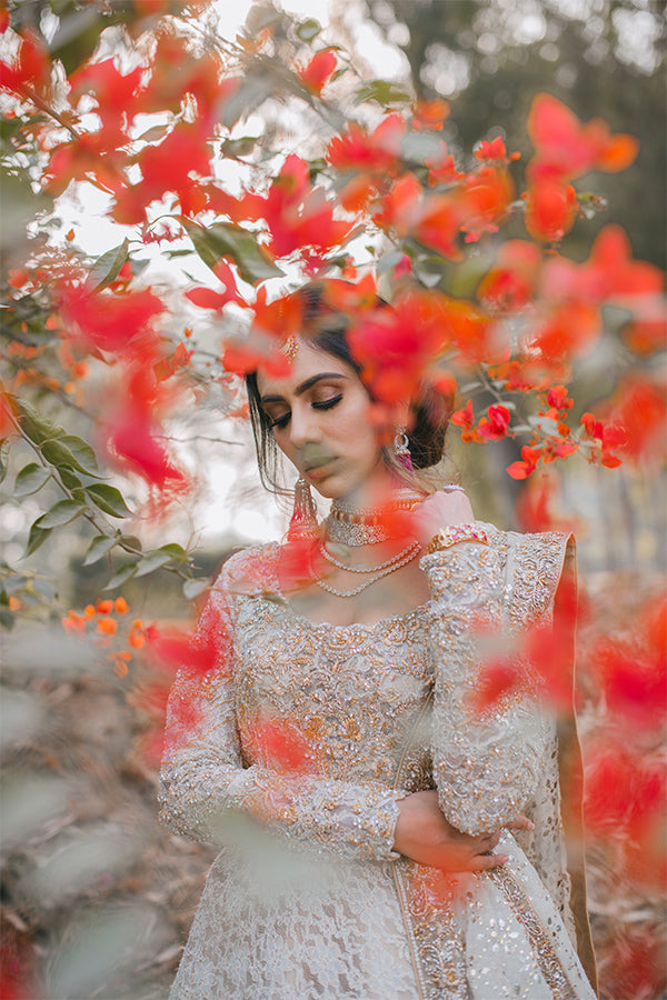 Ivory Embroidered Lace Pishwas Dress (3-Piece) - Image 2