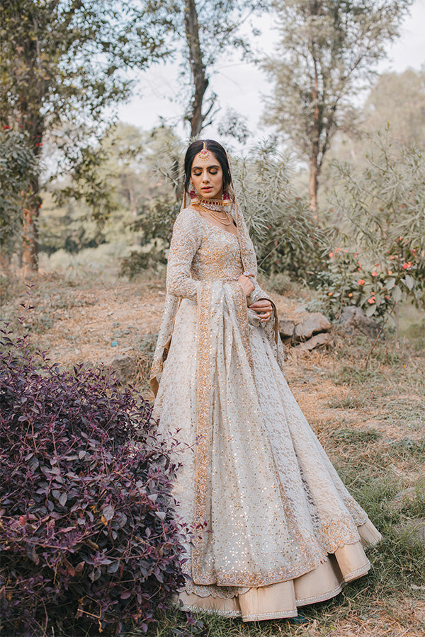 Ivory Embroidered Lace Pishwas Dress (3-Piece) - Image 4