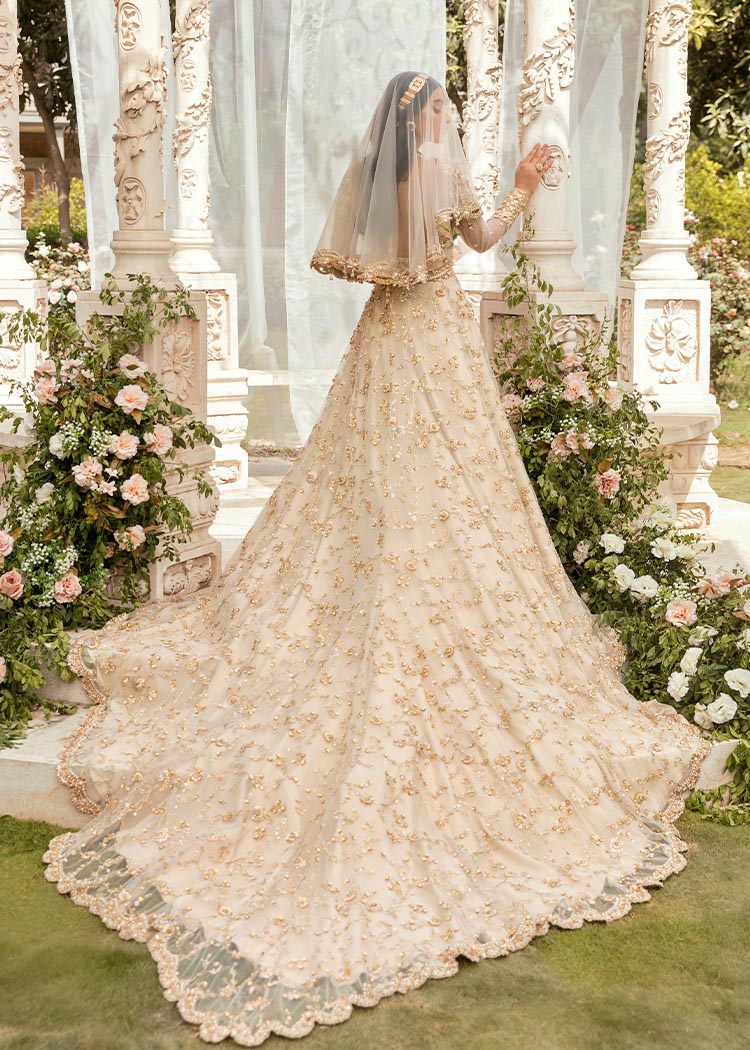 Pakistani Ivory Swarovski Embroidered Net Pishwas Lehnga (3-Piece) - Image 4
