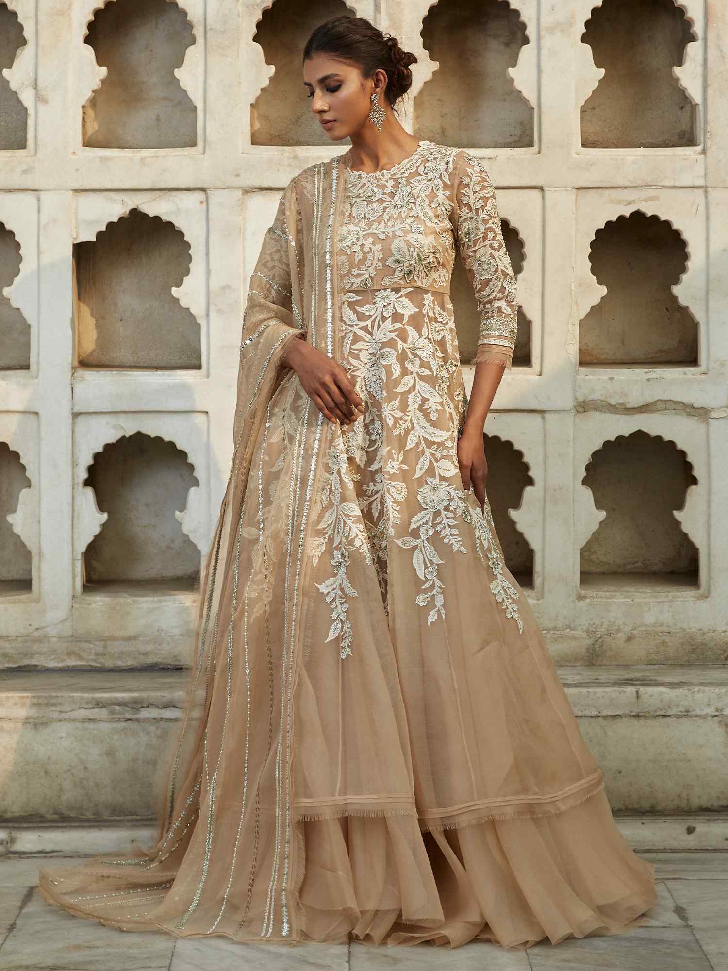 Nude Chintz Appliqué Zardozi Organza Pishwas (2-Piece) - Image 3