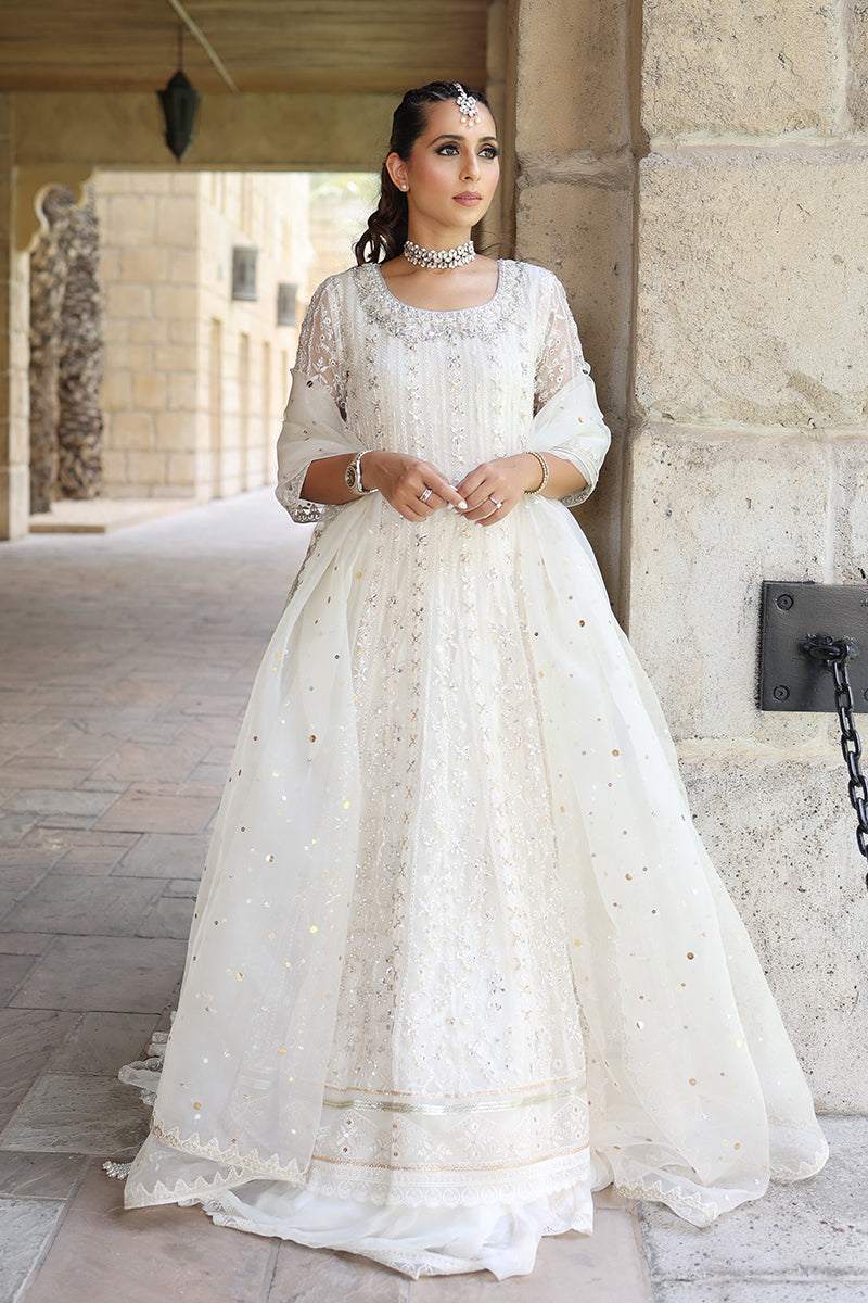 Ivory Embroidered Organza Pishwas Dress (3-Piece) - Image 1