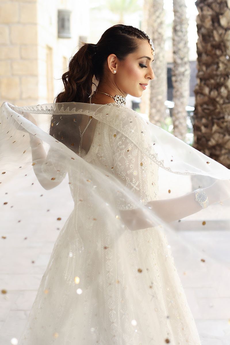 Ivory Embroidered Organza Pishwas Dress (3-Piece) - Image 10