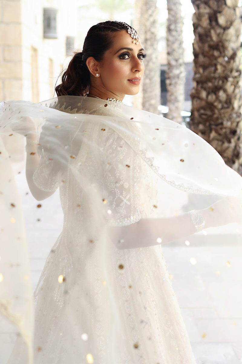 Ivory Embroidered Organza Pishwas Dress (3-Piece) - Image 12