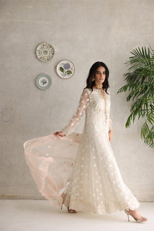 Pakistani Ivory Embroidered Organza Pishwas Dress (3-Piece) - Image 2