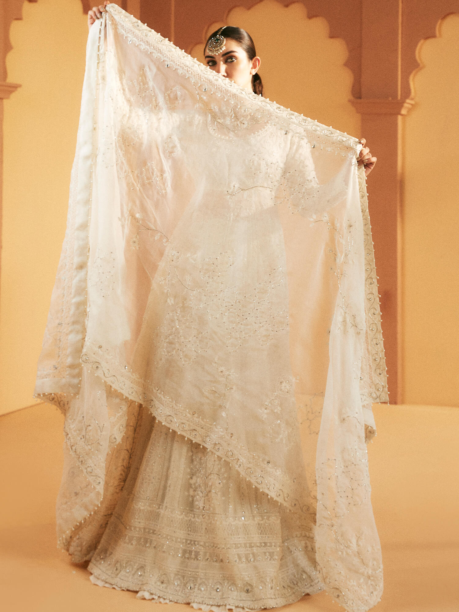 Ivory Embroidered Organza Pishwas Dress (3-Piece) - Image 4