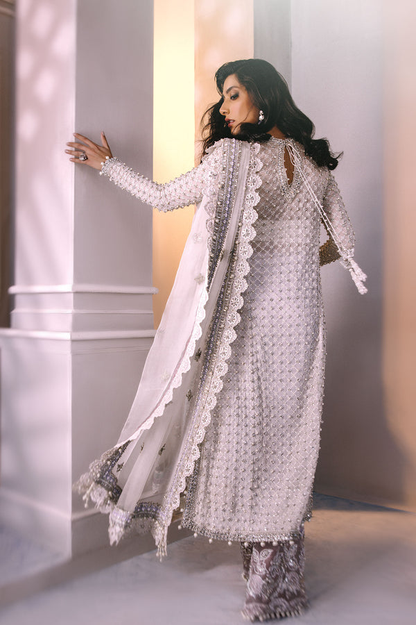 Ivory Embellished Chiffon Salwar Kameez (3-Piece) - Image 3