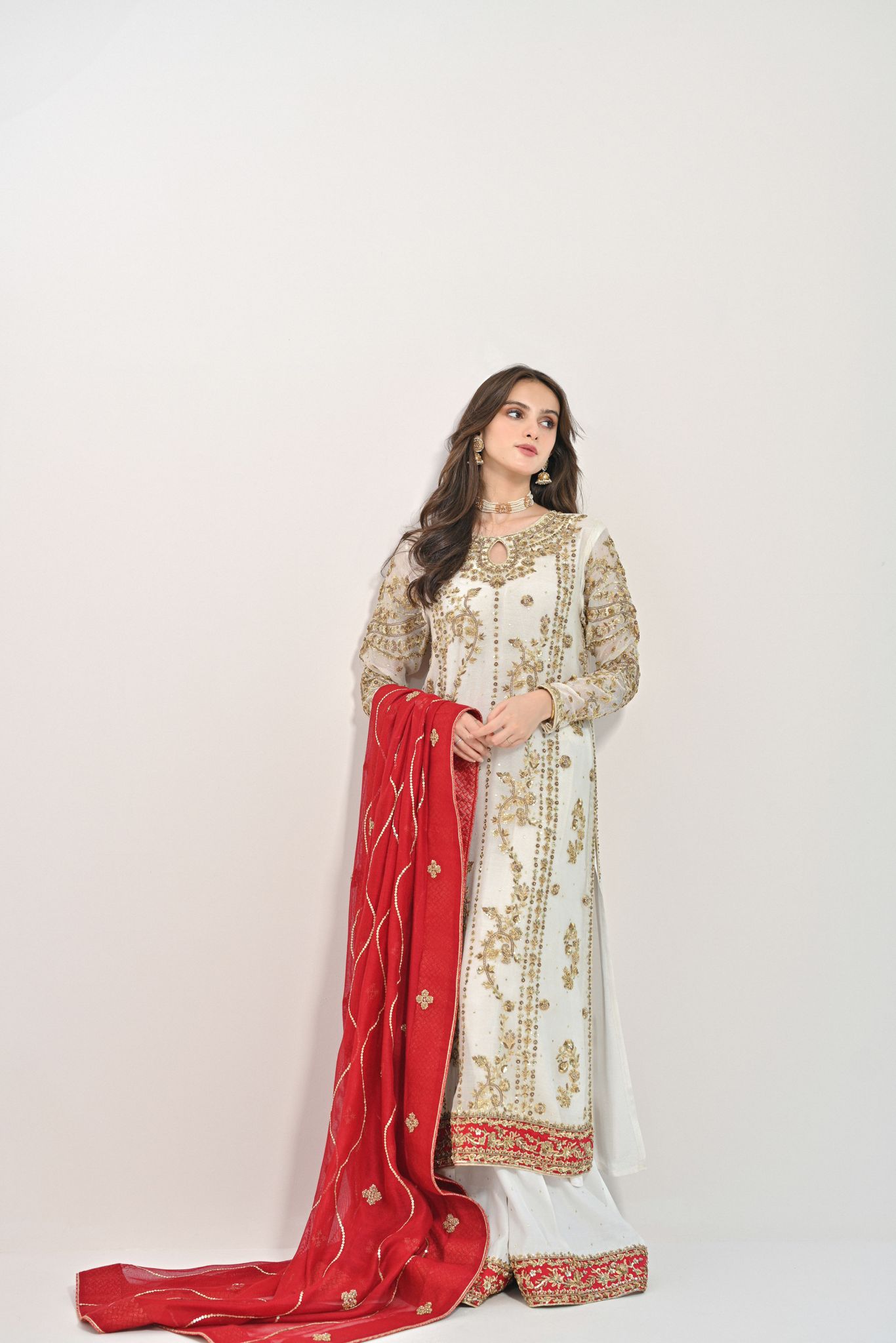 Ivory Zardozi Cotton Net Salwar Kameez (3-Piece) - Image 4