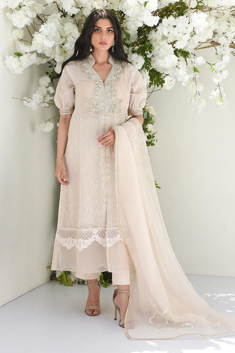 Pakistani Dusty Ivory Embroidered Net Salwar Kameez (3-Piece) - Image 1