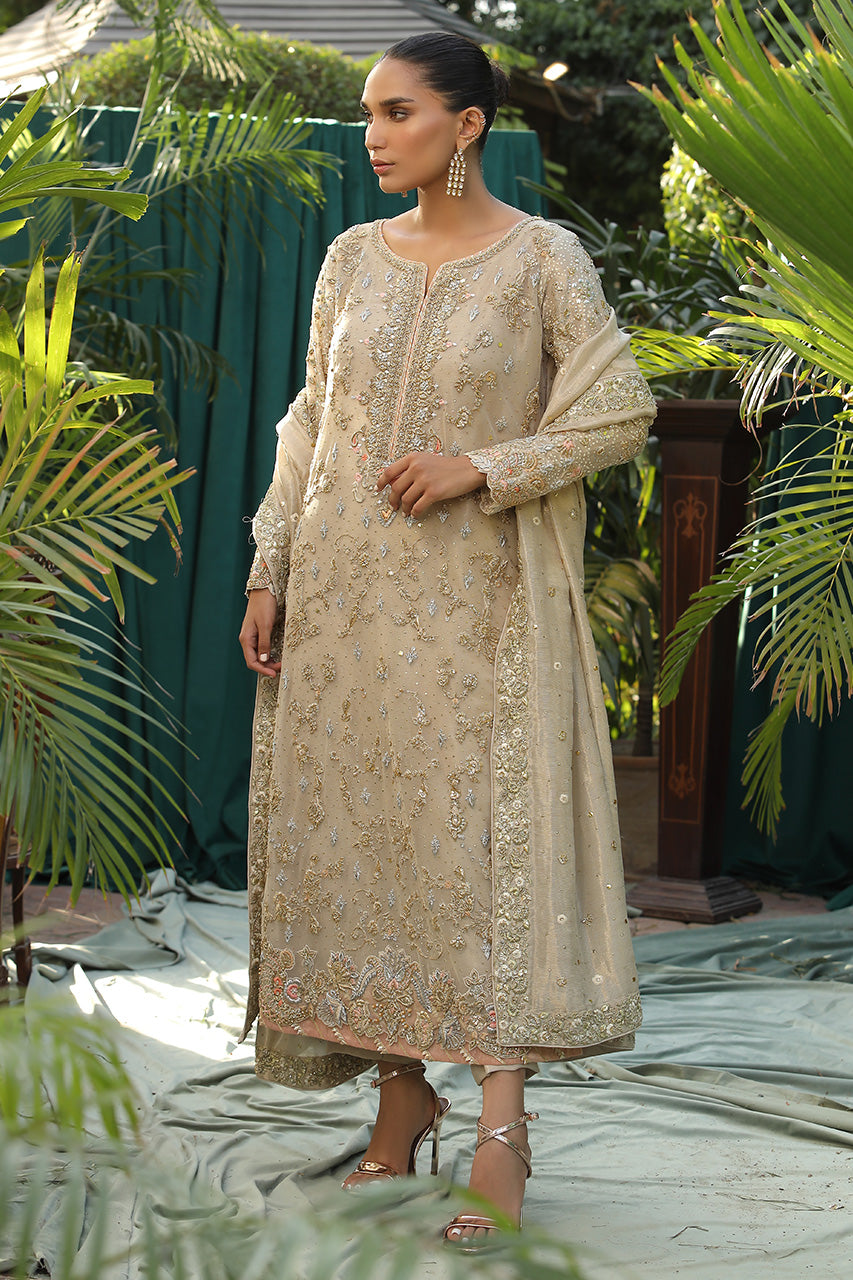 Deep Ivory Handworked Net Salwar Kameez (3-Piece) - Image 2