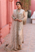 Pakistani Ivory-Beige Embroidered Net Salwar Kameez (3-Piece) - Image 10