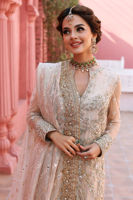 Pakistani Ivory-Beige Embroidered Net Salwar Kameez (3-Piece) - Image 11