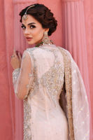 Pakistani Ivory-Beige Embroidered Net Salwar Kameez (3-Piece) - Image 12