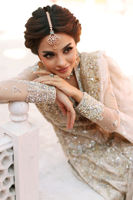 Pakistani Ivory-Beige Embroidered Net Salwar Kameez (3-Piece) - Image 13