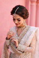 Pakistani Ivory-Beige Embroidered Net Salwar Kameez (3-Piece) - Image 14