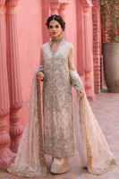 Pakistani Ivory-Beige Embroidered Net Salwar Kameez (3-Piece) - Image 2