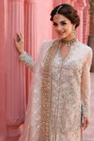 Pakistani Ivory-Beige Embroidered Net Salwar Kameez (3-Piece) - Image 3