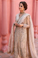 Pakistani Ivory-Beige Embroidered Net Salwar Kameez (3-Piece) - Image 4