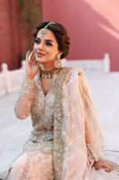 Pakistani Ivory-Beige Embroidered Net Salwar Kameez (3-Piece) - Image 5