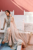 Pakistani Ivory-Beige Embroidered Net Salwar Kameez (3-Piece) - Image 6