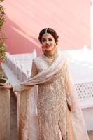 Pakistani Ivory-Beige Embroidered Net Salwar Kameez (3-Piece) - Image 7
