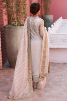 Pakistani Ivory-Beige Embroidered Net Salwar Kameez (3-Piece) - Image 8