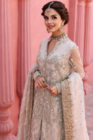 Pakistani Ivory-Beige Embroidered Net Salwar Kameez (3-Piece) - Image 9