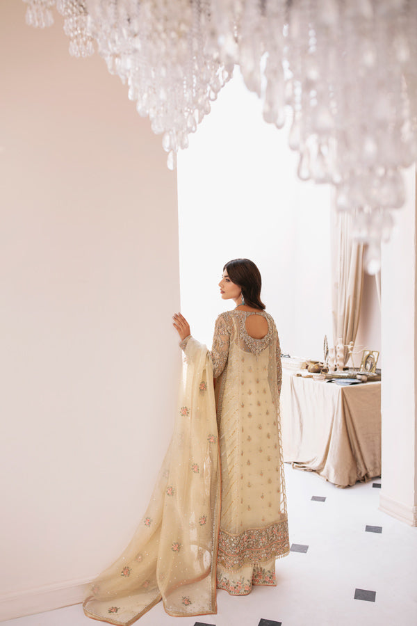 Ivory Hand-Embellished Net Organza Salwar Kameez (3-Piece) - Image 5