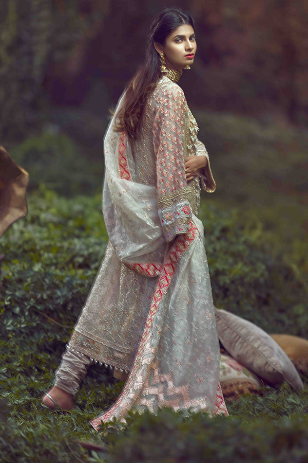 Pakistani Off-White Phulkari Embroidered Net Organza Salwar Kameez (3-Piece) - Image 3