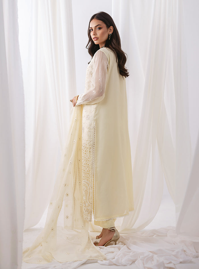 Pakistani Ivory Embroidered Net Salwar Kameez (3-Piece) - Image 2