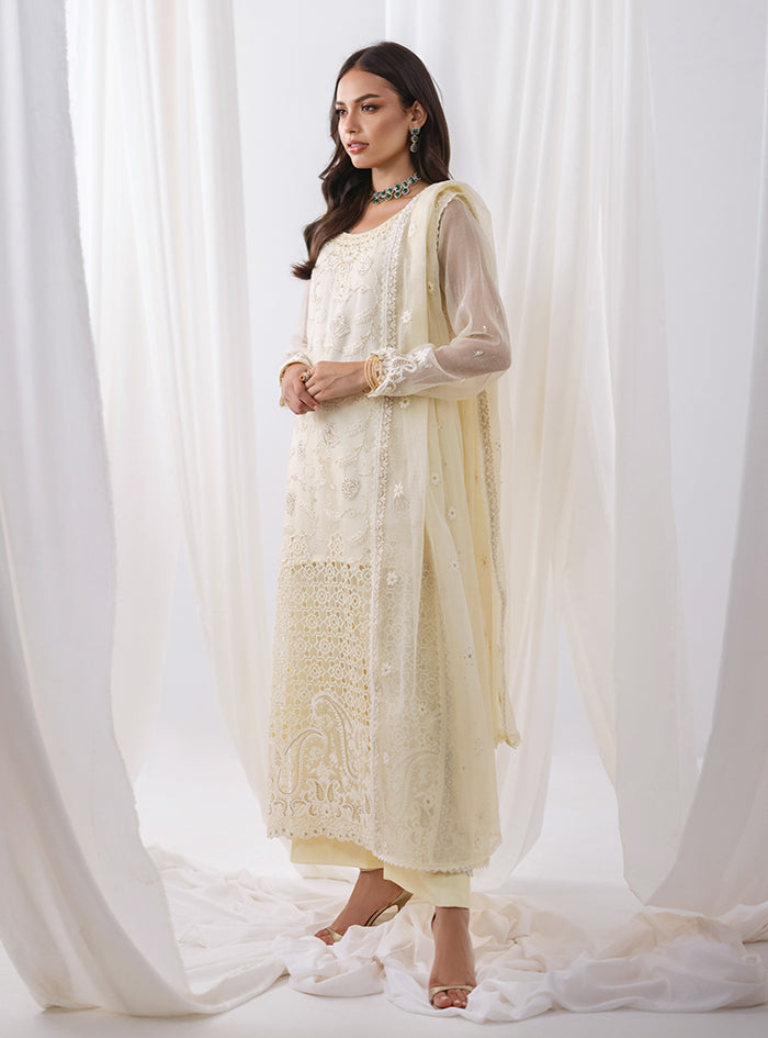 Pakistani Ivory Embroidered Net Salwar Kameez (3-Piece) - Image 3