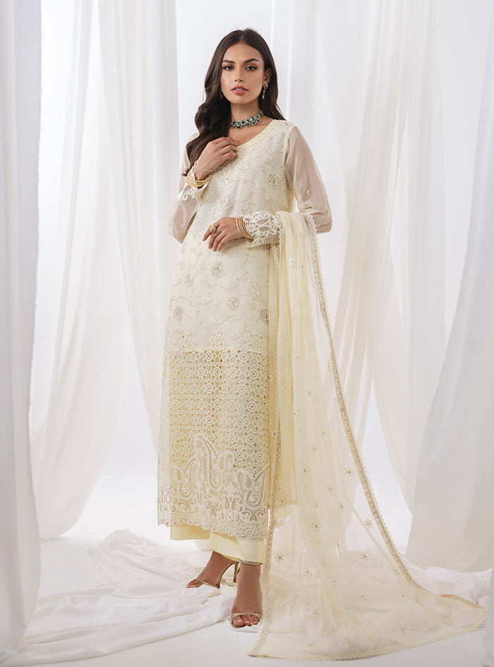 Pakistani Ivory Embroidered Net Salwar Kameez (3-Piece) - Image 4