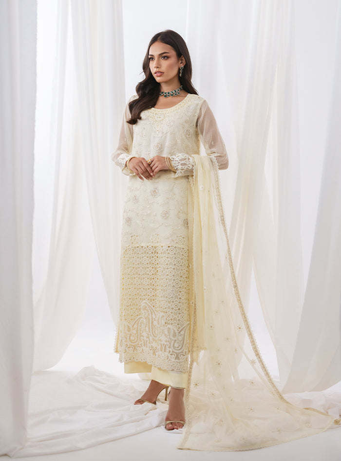 Pakistani Ivory Embroidered Net Salwar Kameez (3-Piece) - Image 5