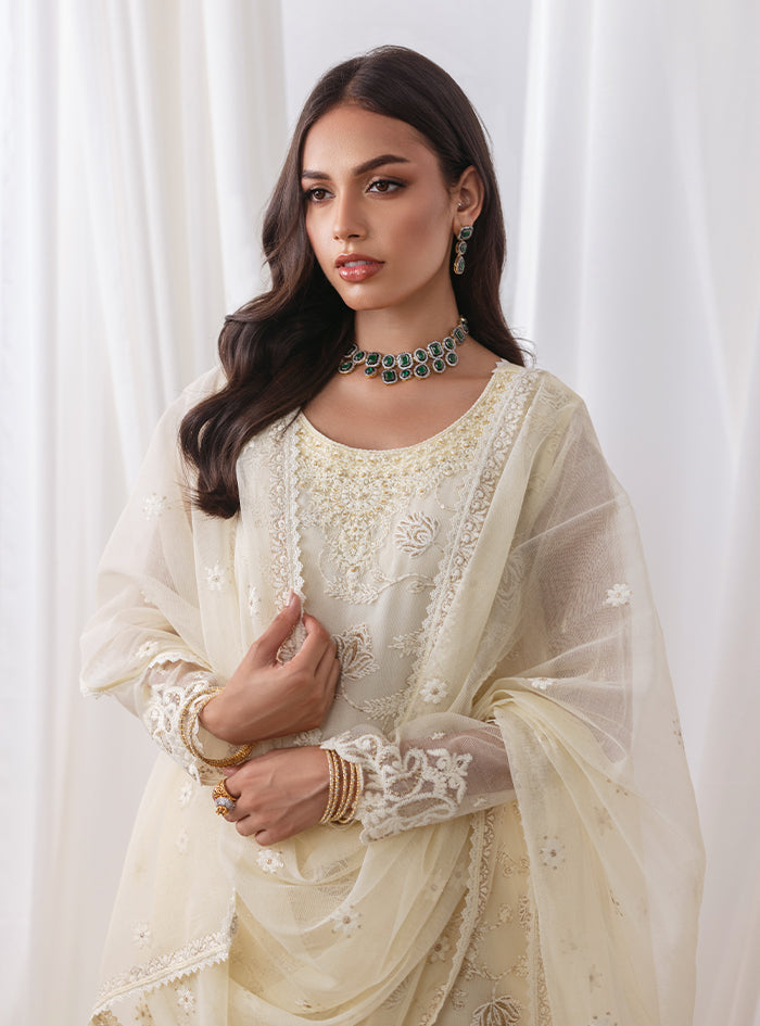 Pakistani Ivory Embroidered Net Salwar Kameez (3-Piece) - Image 6