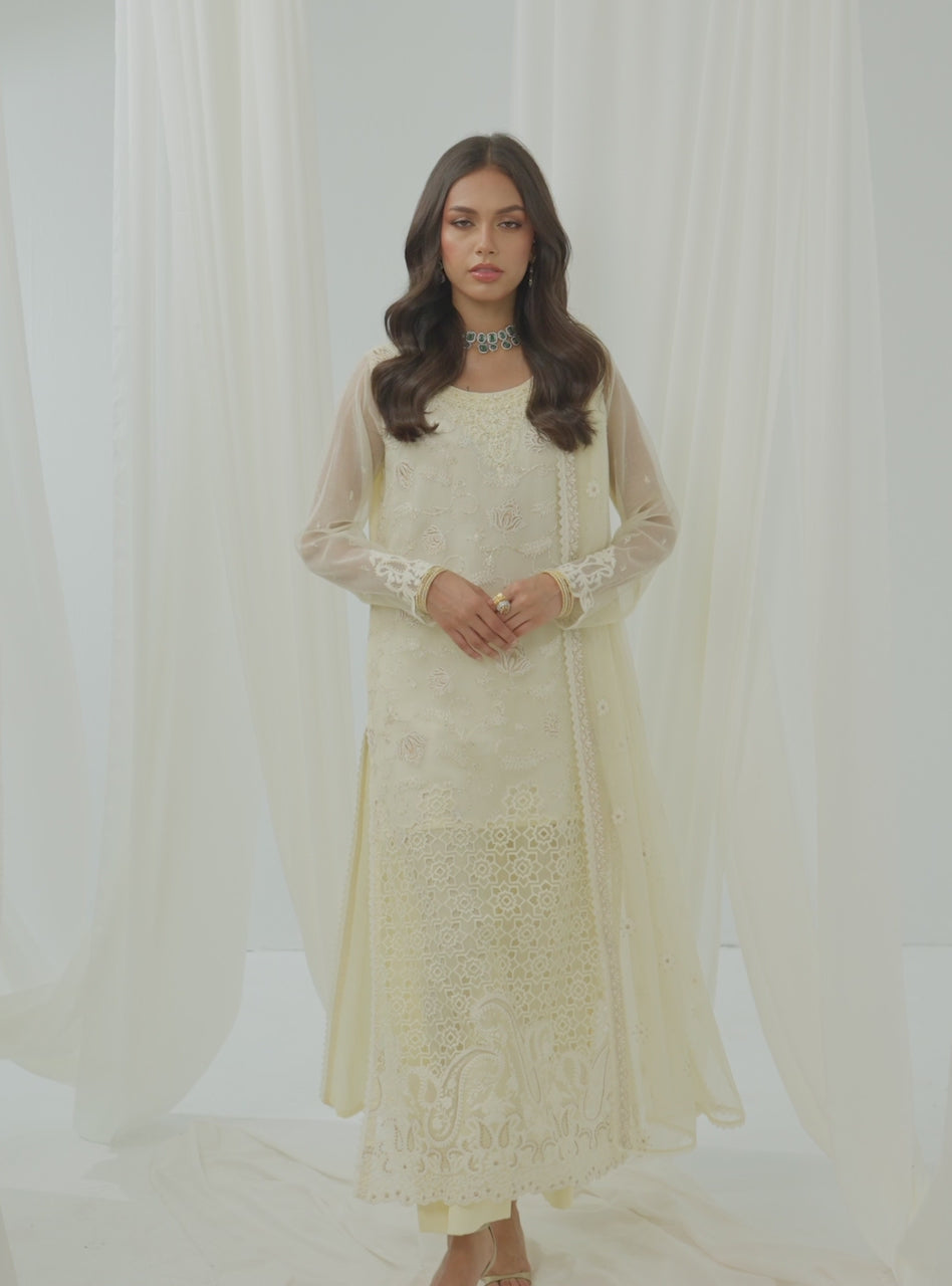 Pakistani Ivory Embroidered Net Salwar Kameez (3-Piece) - Image 7
