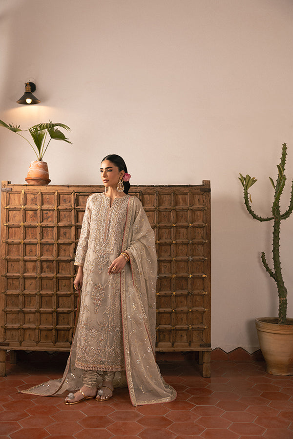 Muted Champagne Embroidered Net Salwar Kameez (3-Piece) - Image 1