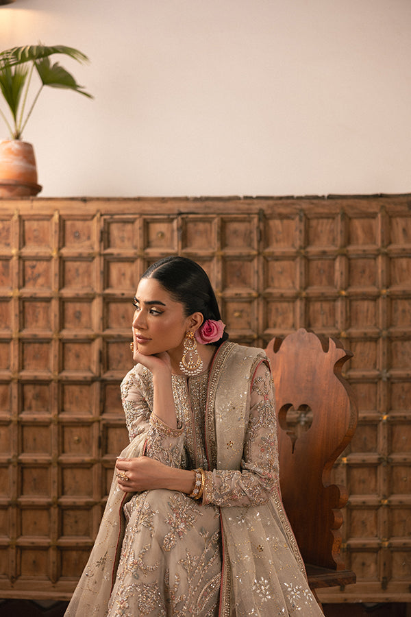 Muted Champagne Embroidered Net Salwar Kameez (3-Piece) - Image 10