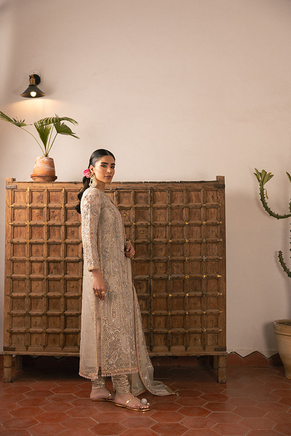 Muted Champagne Embroidered Net Salwar Kameez (3-Piece) - Image 2