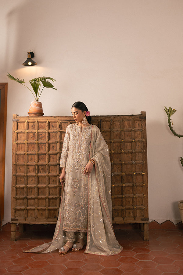 Muted Champagne Embroidered Net Salwar Kameez (3-Piece) - Image 3