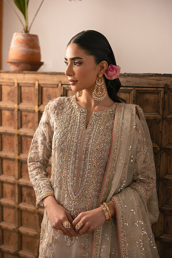 Muted Champagne Embroidered Net Salwar Kameez (3-Piece) - Image 6