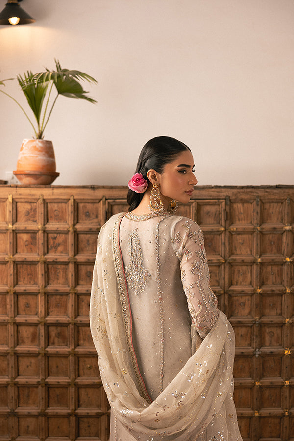 Muted Champagne Embroidered Net Salwar Kameez (3-Piece) - Image 7