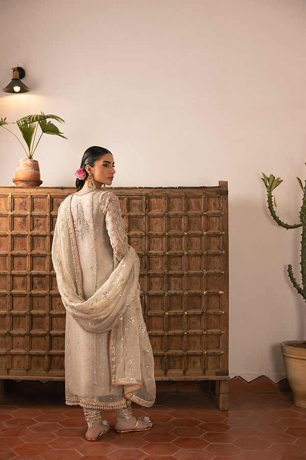 Muted Champagne Embroidered Net Salwar Kameez (3-Piece) - Image 8