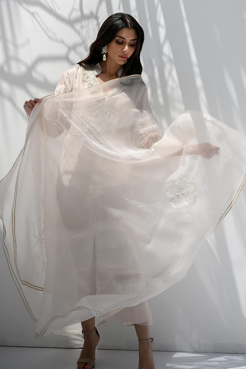 Pakistani Dusty Ivory Embroidered Net Salwar Kameez (3-Piece) - Image 3