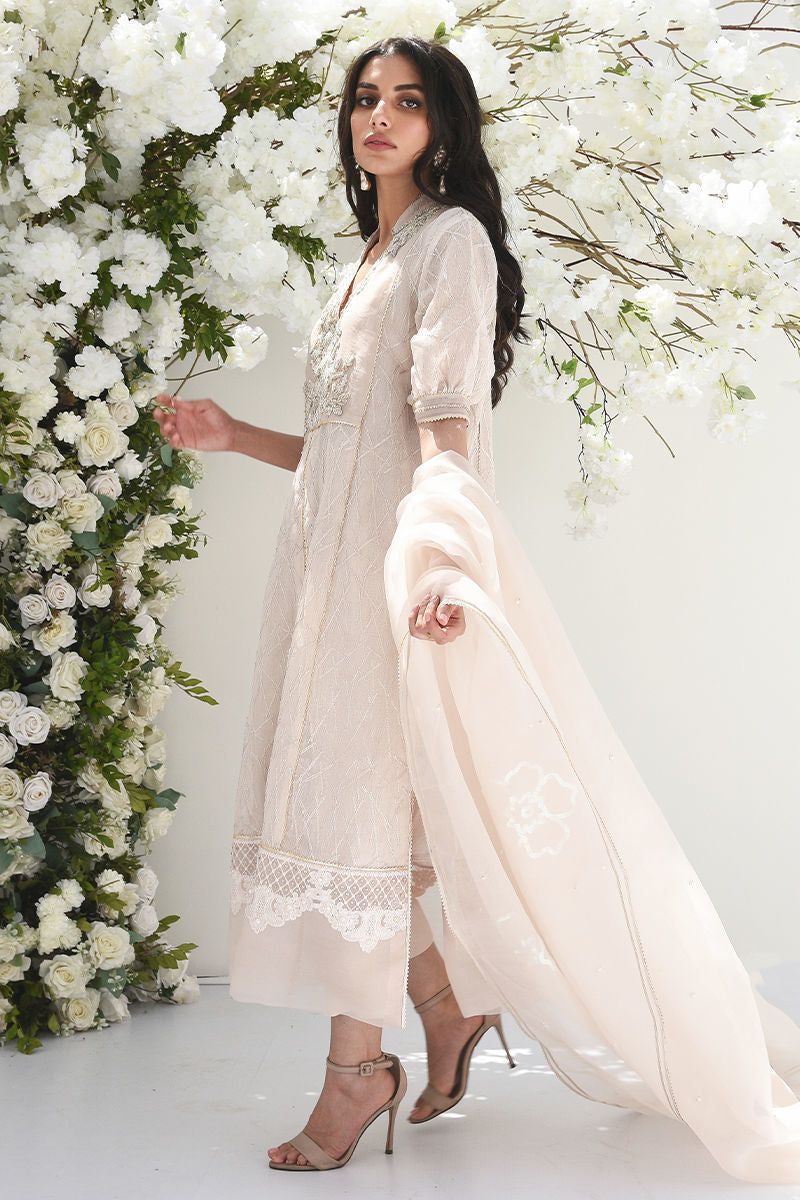 Pakistani Dusty Ivory Embroidered Net Salwar Kameez (3-Piece) - Image 4