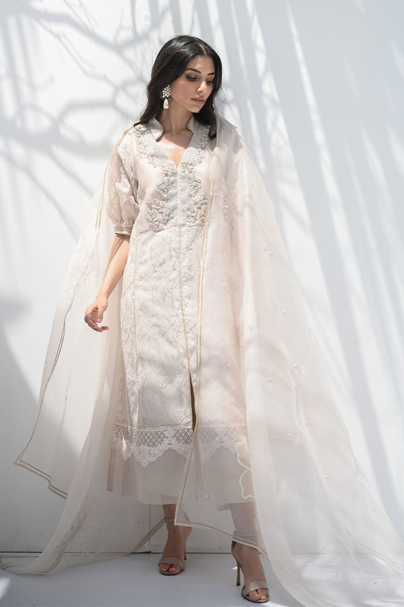 Pakistani Dusty Ivory Embroidered Net Salwar Kameez (3-Piece) - Image 5