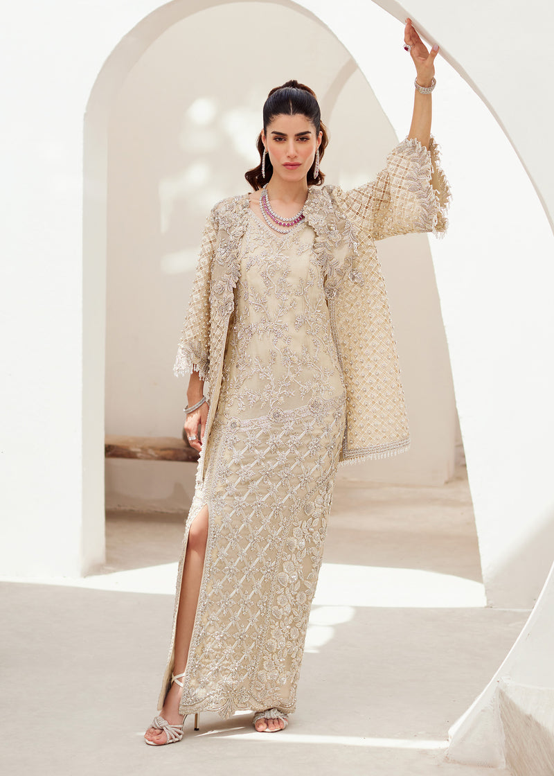 Off-White Embellished Organza & Raw Silk Jacket Dress (3-Piece) - Image 5