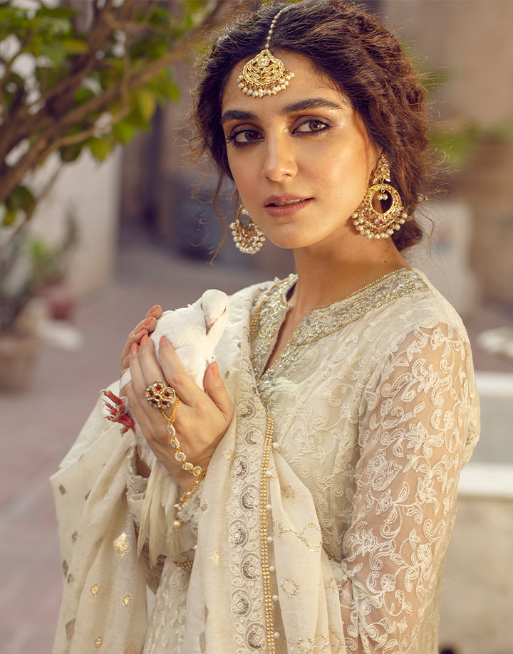 Ivory Embroidered Organza Salwar Kameez (3-Piece) - Image 5