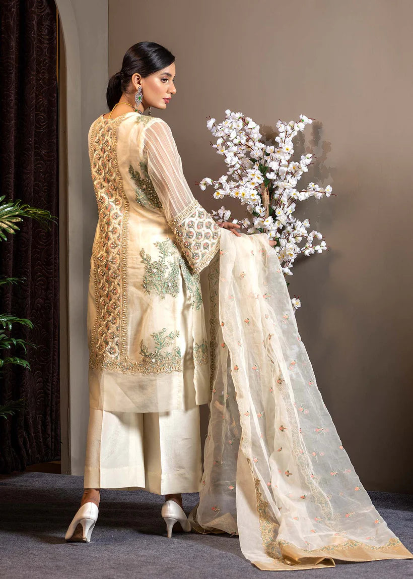 Ivory Embroidered Organza Salwar Kameez (3-Piece) - Image 3