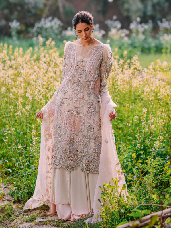 Ivory Embellished Pure Organza Salwar Kameez (3-Piece) - Image 1